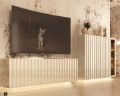 Brands Franco Orion, Spain