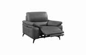 Living Room Furniture Sofas Loveseats and Chairs 2934 Dark Grey Chair w/ electric recliners